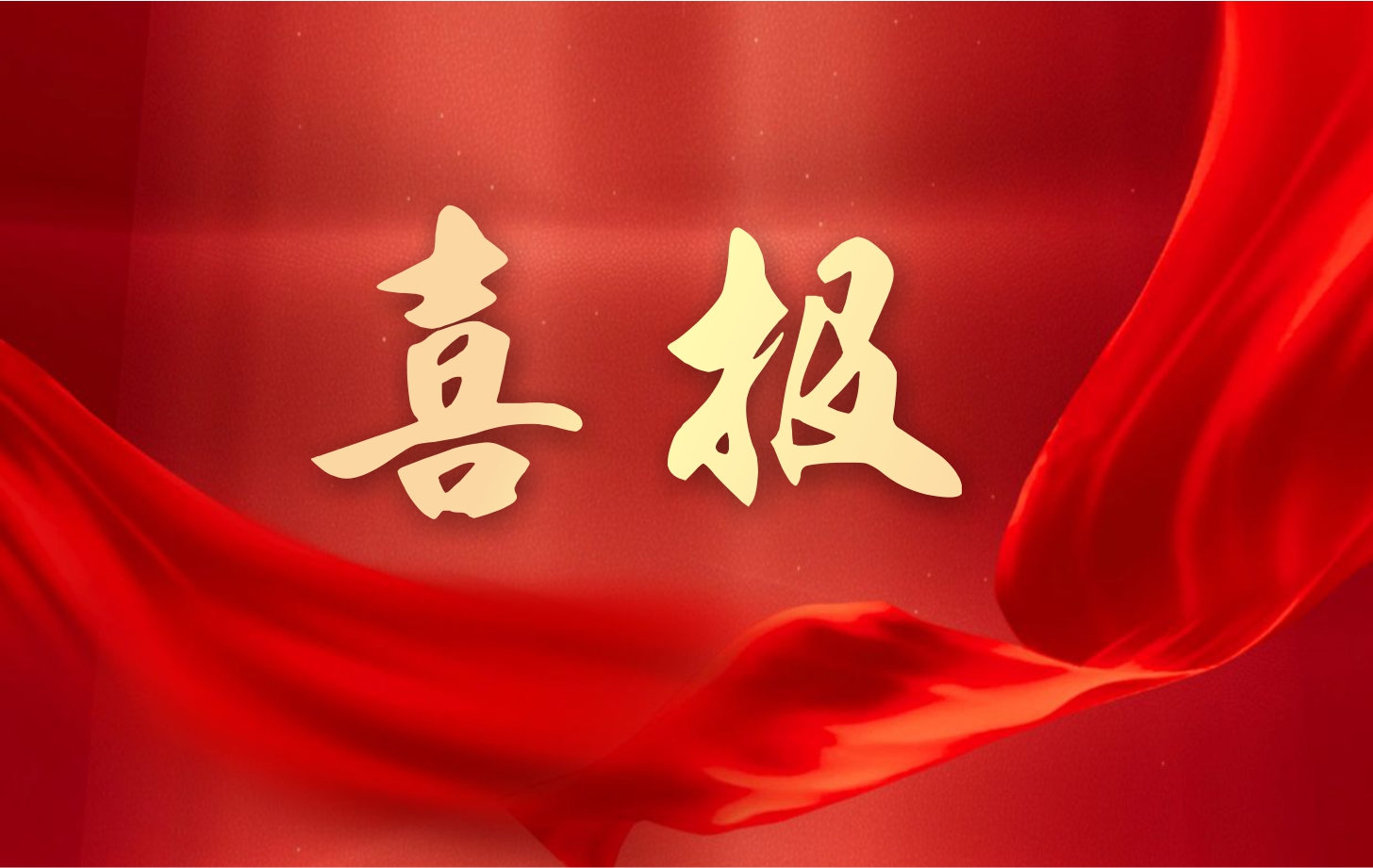營(yíng)收凈利雙增長(zhǎng)！依頓電子2025年一季度經(jīng)營(yíng)業(yè)績(jī)續(xù)寫(xiě)高質(zhì)量發(fā)展華章